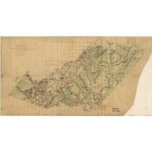  War Map Survey of Orange County, Virginia / made under the direction 