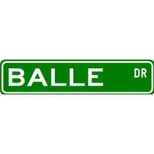  BALLE Street Sign ~ Personalized Family Lastname Sign 