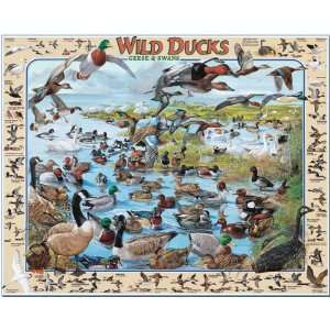  White Mountain Puzzles Wild Ducks Toys & Games