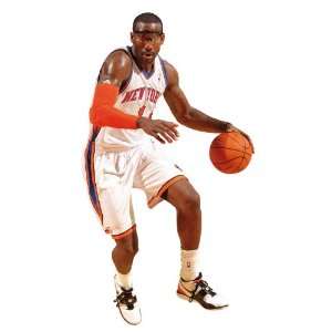   New York Knicks NBA Fathead REAL.BIG Wall Graphics