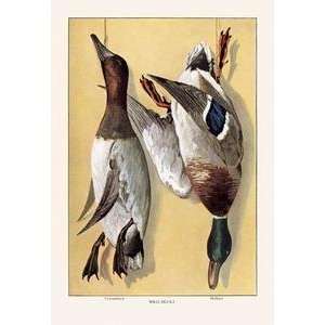 Vintage Art Wild Ducks   07923 1 