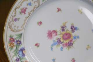 Germany Bavaria China Dresden Dinner Plate US Zone German Floral Dish 