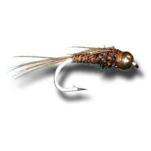    Tungsten BH Pheasant Tail Nymph Fly Fishing Fly