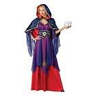 Mystical Sorceress Womens Medieval Fortune Teller Deluxe Costume Std 