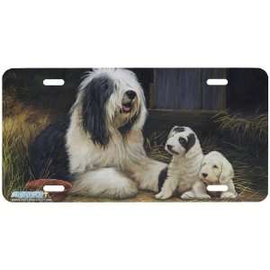 4321 Old English Sheepdog Dog License Plate Car Auto Novelty Front 