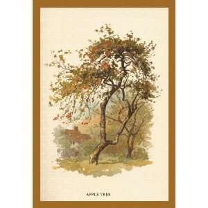  Apple Tree 16X24 Canvas