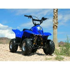  Venom V70r 70cc ATV