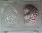 Large BRAIN Chocolate Candy Molds