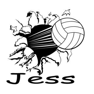Personalized Flying Volleyball Vinyl Wall Art Decal  