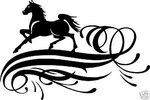 Horse Equestrian Trailer Truck Sign Decal 24  