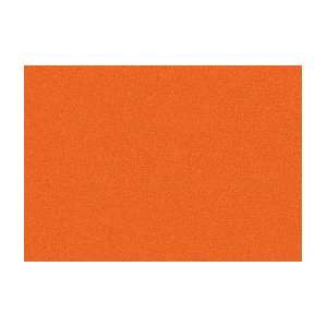  Caran dAche Neopastel   Box of 10   Reddish Orange 040 