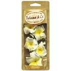 American Covers 06714 Scented Necklace Air Freshener Pina Colada