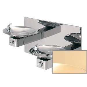  Gold Hi Lo barrier free, dual high polished stainless steel drinking 