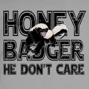 Honey Badger He Dont Care Funny Humor Dont Tee T Shirt  