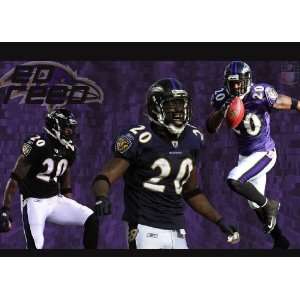  Ed Reed HD 11x17 Baltimore Ravens #01 HDQ 