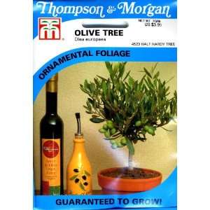  Thompson & Morgan 4523 Olive Tree Seed Packet Patio, Lawn 
