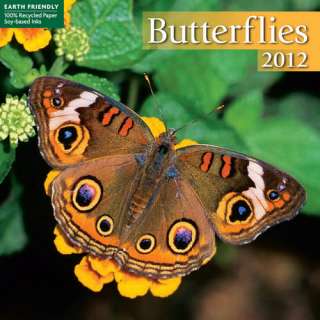 Butterflies 2012 Mini Wall Calendar 1435127897  