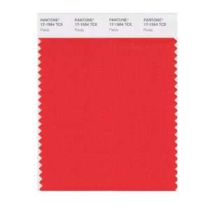    PANTONE SMART 17 1564X Color Swatch Card, Fiesta