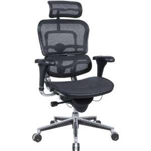   Eurotech ErgoHuman Mesh Ergonomic Chair with Headrest