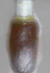 Neem Oil Pure Cold Pressed Gallon  
