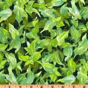   Delicate Leaf Texture Green Fabric By The Yard Arts, Crafts & Sewing