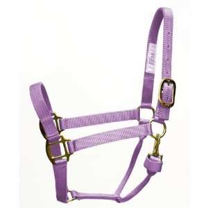  Fashion Lavender Yearling Horse Halter with Snap Sports 