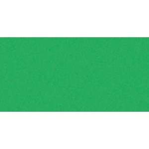  Quilling Paper Jewel Tones 1/8 50/Pkg Emerald