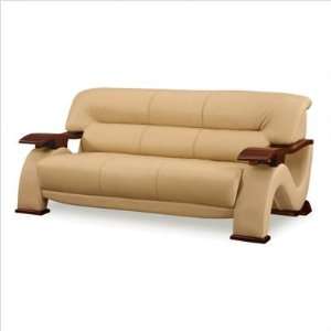 Global Furniture USA 2033 Series Sherman Leather Sofa Color Cappucino 