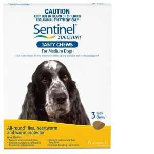  Sentinel Spec. Medium Dogs Chew 3pk Y