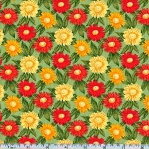  45 Wide Flower of the Month Asters September 08 Green 