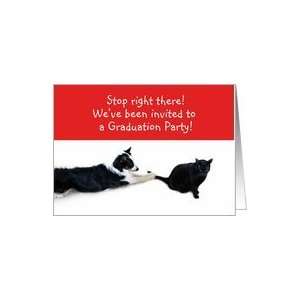  Stop right there Graduation Party Card Toys & Games