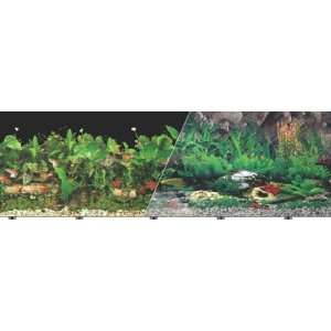   Sided Tropical Fresh Aquarium Background, 12 x 50