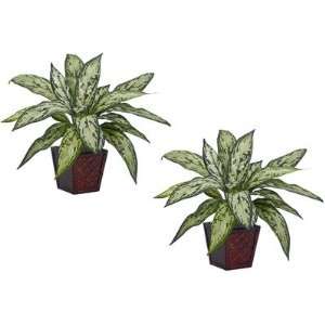  Silver Queen Silk Plant (Set of 2) Electronics