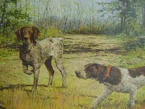 FLUSH PRINT BY WARD WITH HUNTING DOGS FLUSHING THE QUAIL OUT OF THE 