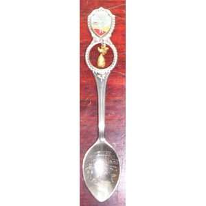  Hawaii Souvenir Spoon Chrome with Brass Charm in Gift Bag 