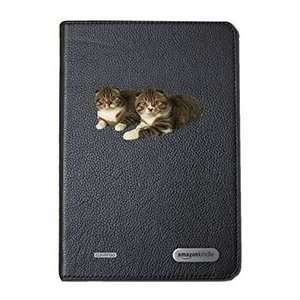 Scottish Fold Two on  Kindle Cover Second Generation 