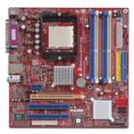 Biostar Geforce 6100 M9 NVIDIA Socket 939 MicroATX Motherboard and an 
