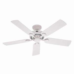Hunter Five Minute 52 in. Indoor/Outdoor White Ceiling Fan 21782 at 