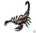 cooles Bügelbild Bügelbilder Scorpion Skorpion 441, cooles 