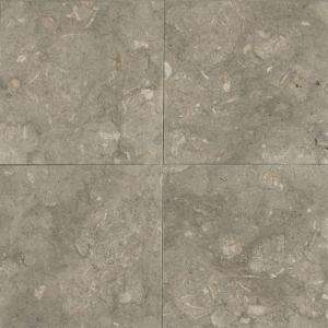 Daltile 12 in. x 12 in. Caspian Shellstone Natural Stone Floor and 