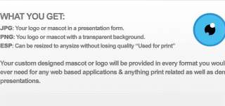 Professional Custom Logo Design or Mascot   web design  
