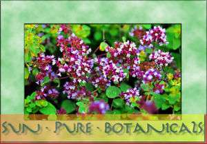 oz OREGANO ESSENTIAL OIL HIGHLY THERAPEUTIC VARIETY  