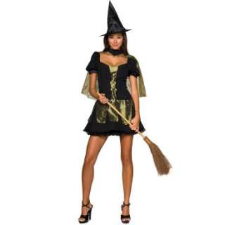 Wizard of Oz Sassy Wicked Witch of the West Adult Costume, 31414 