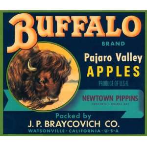 BUFFALO PAJARO VALLEY APPLES CALIFORNIA USA FRUIT CRATE LABEL PRINT 