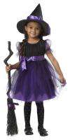 Cute Charmed Witch Toddler Halloween Costume 00091  