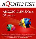 AMOXICILLIN 500mg AQUATIC FISH 50 COUNT ANTIBIOTIC TREATMENT