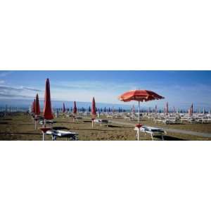  Beach Umbrellas and Beach Chairs on the Beach, Lignano 