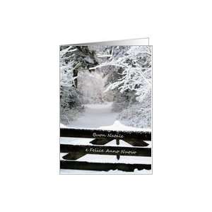  Italian Fence in snow Merry X mas & Happy New Year Card 