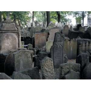  Headstones in the Graveyard of the Jewish Cemetery 