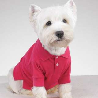 Casual Canine Preppy Puppy Polo Shirt Red Small  